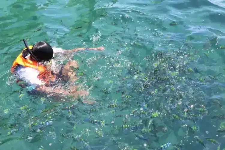 snorkeling with life jacket