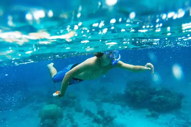 how to snorkel without fins