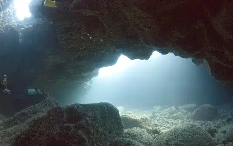 tunnels reef diving