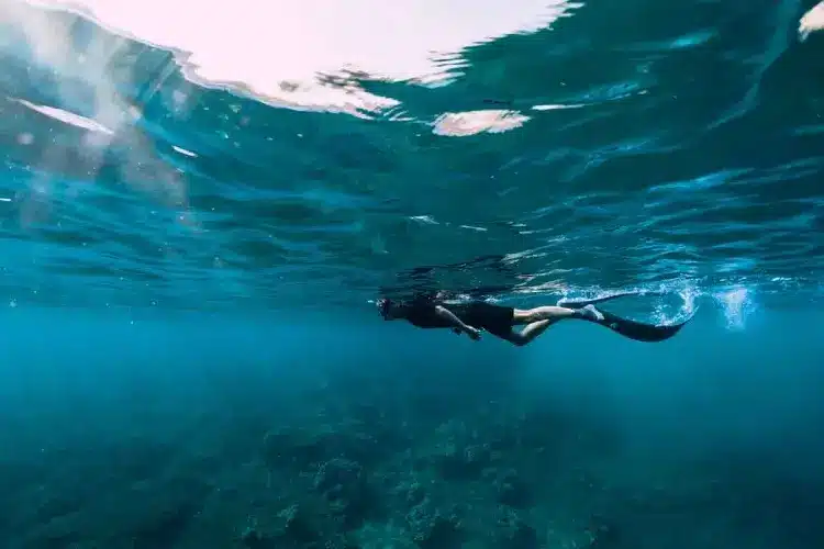 drift snorkeling